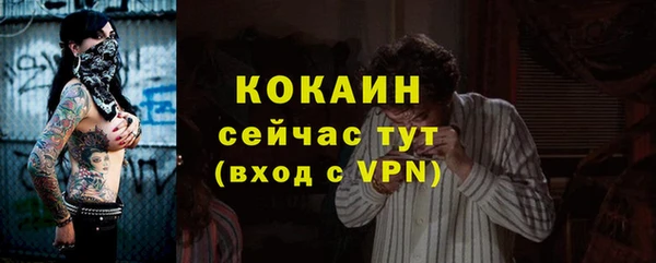 сатива Богданович