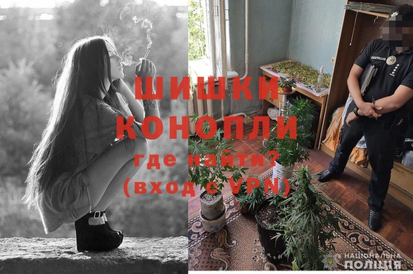 ECSTASY Богородск