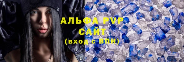 сатива Богданович