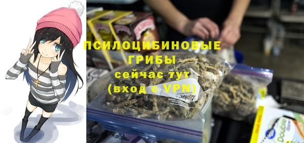сатива Богданович