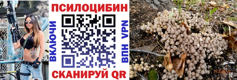 Псилоцибиновые грибы MAGIC MUSHROOMS  Томск 